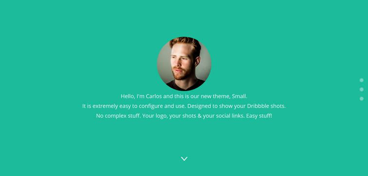 Dribbble Portfolio bootstrap_template_themes_free_18