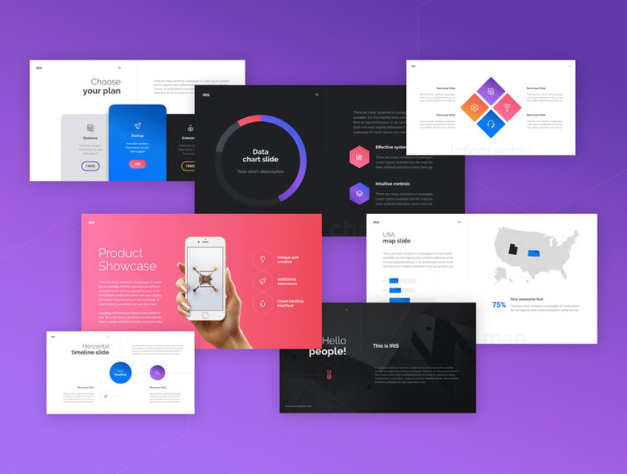 Free-Unique-&-Creative-IRIS-Business-Infographical-Keynote-Presentation-Template-3