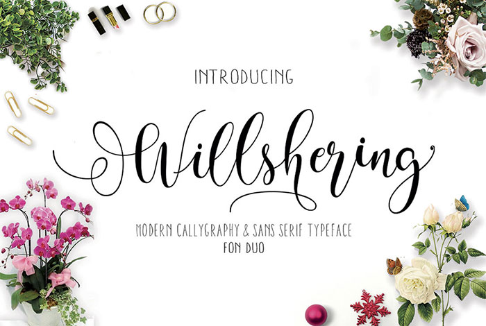 Willshering-Modern-Calligraphy-and-Sans-Serif-Font