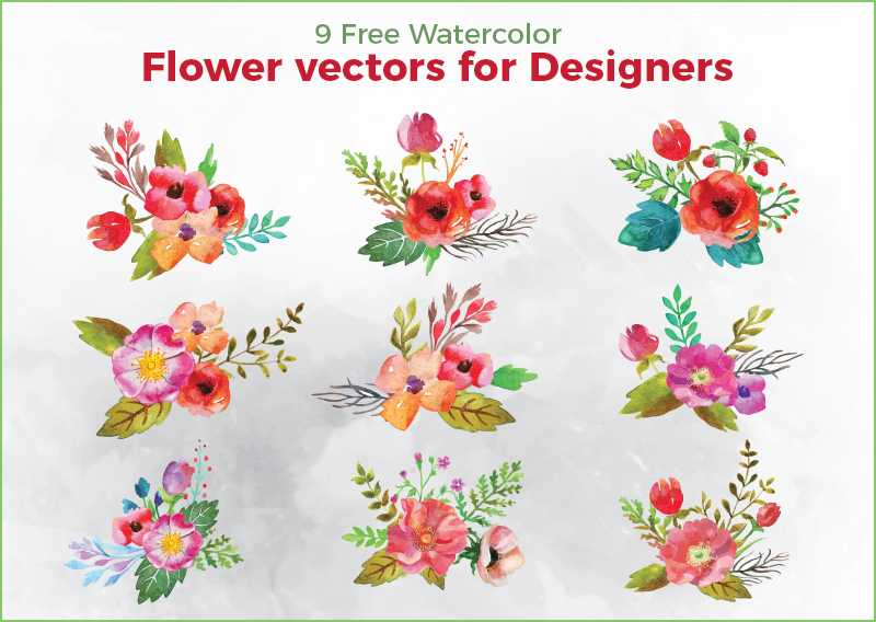 Flower-Vectors-For-Designers