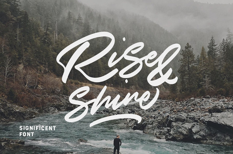 Free-Significent-Wild-Brush-Demo-Font-3