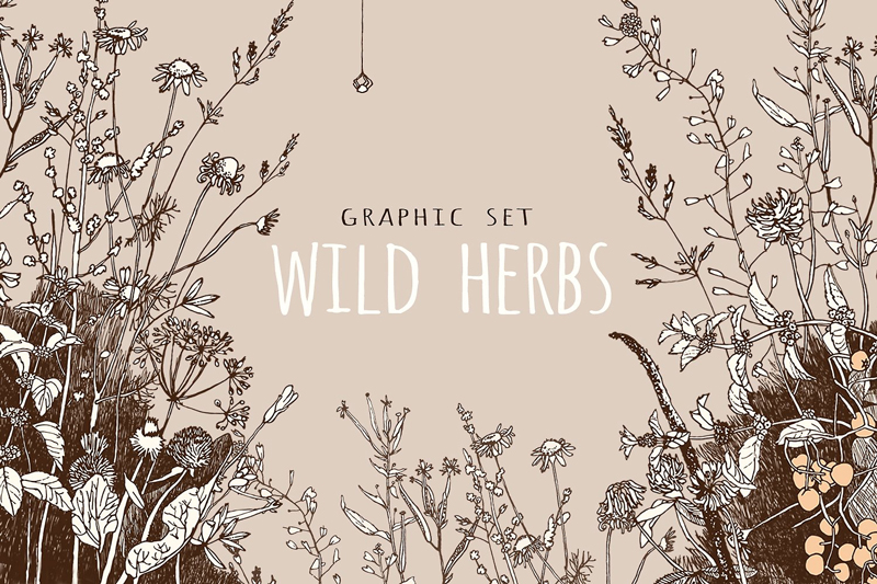 graphic-set-wild-herbs