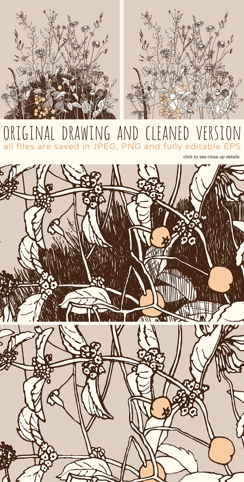 wild-herbs-original-drawing-vector-graphics