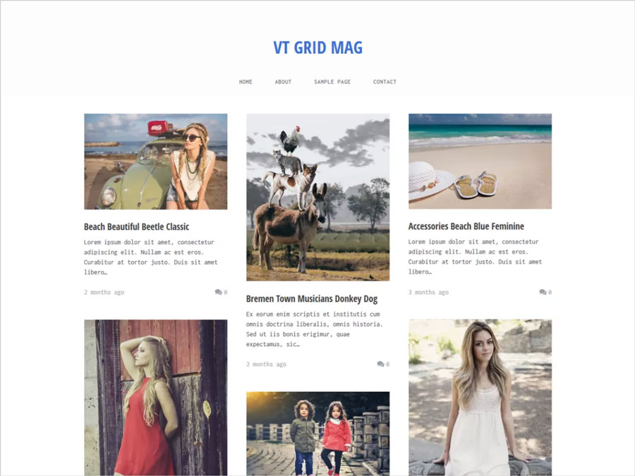 VT-Grid-Mag-Clean,-Minimalistic-and-Responsive-WordPress-Theme