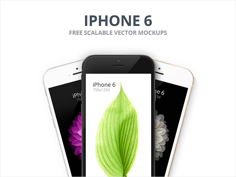 iPhone-6---Scalable-Mockups-4.7'