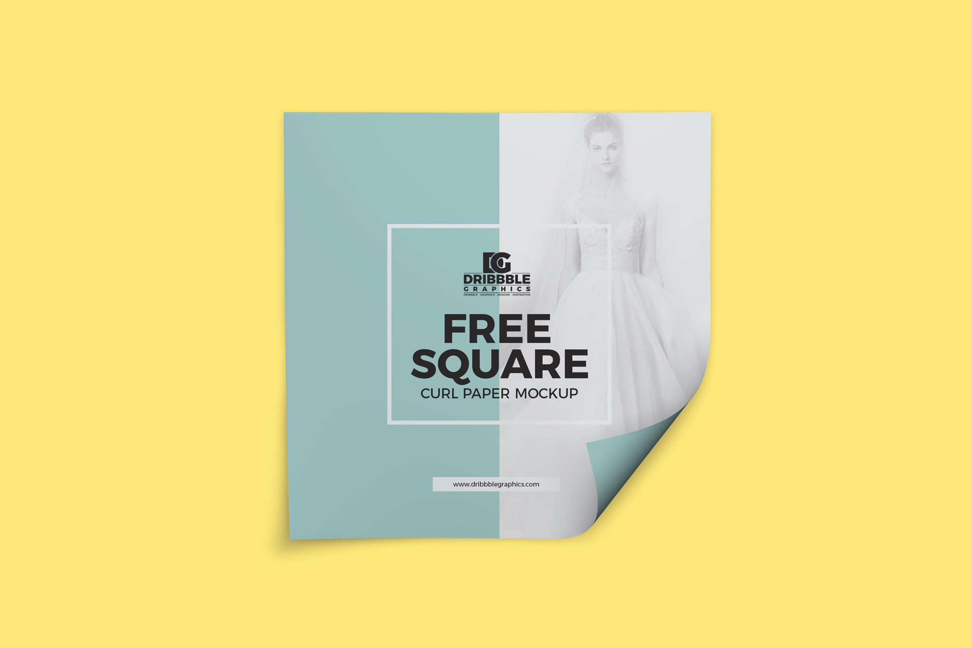 Download Free Square Curl Paper Mockup Dribbble Graphics PSD Mockup Templates