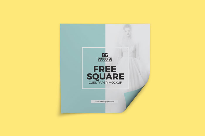 Free-Square-Curl-Paper-Mockup