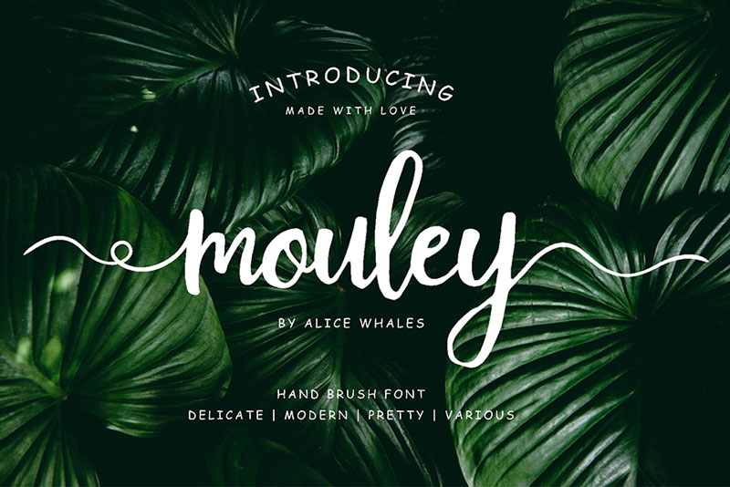 Free-Mouley-Script-Demo-2018-For-Designers-1