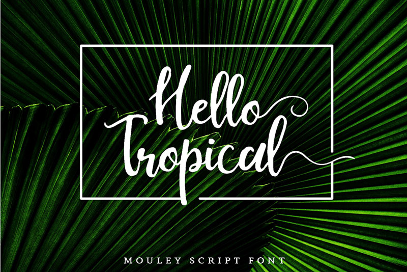 Free-Mouley-Script-Demo-2018-For-Designers-3