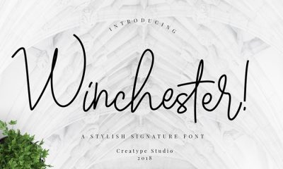 Free-Winchester-Script-Font-Demo-2018-For-Creative-Artists