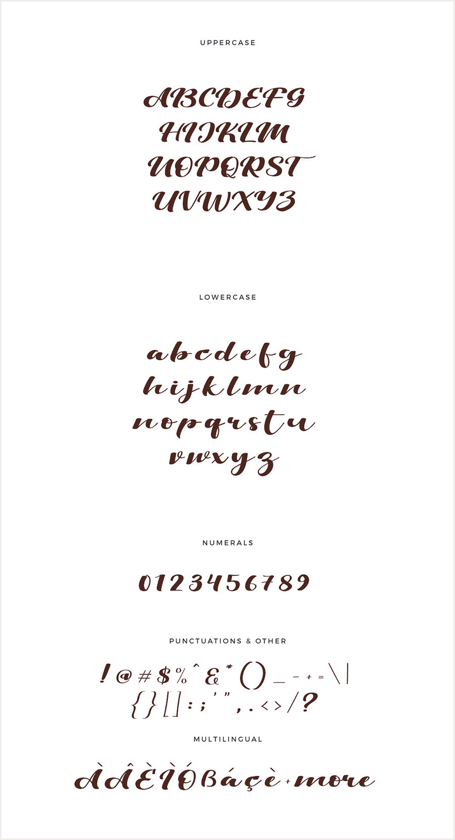 Free-Viksi-Script-Typeface-2018-5