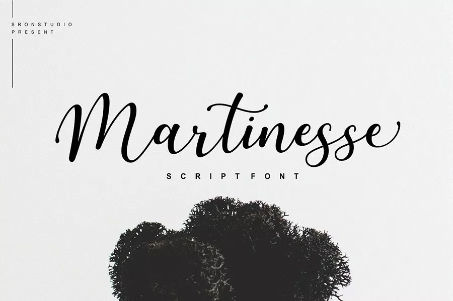Free-Martinesse-Beautiful-Script-Demo-For-Designers-1