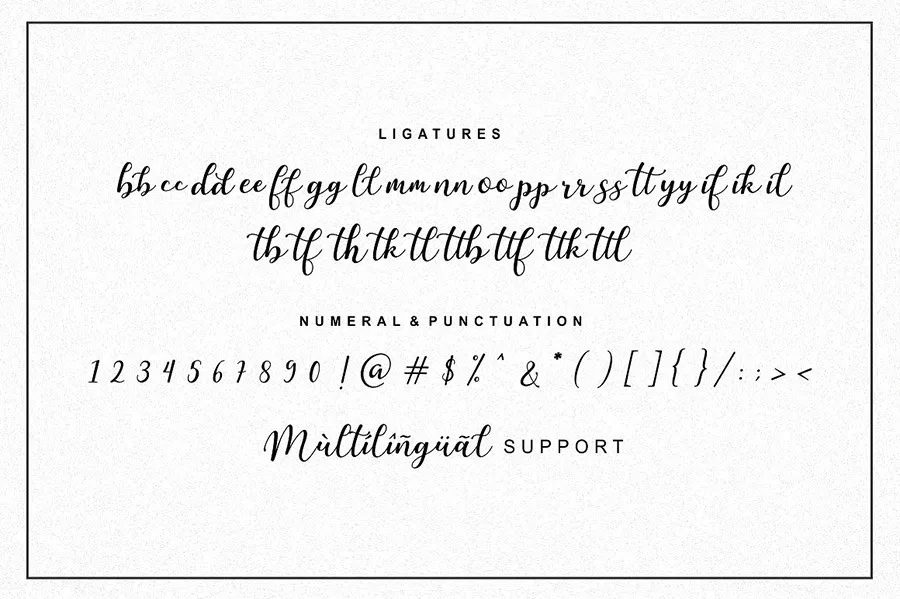 Free-Martinesse-Beautiful-Script-Demo-For-Designers-7