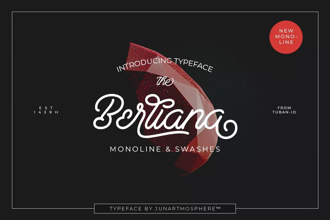 Free-Berliana-Monoline-Font-Demo-2018-1