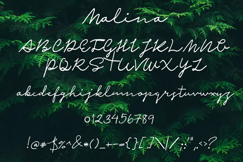 Free-Malina-Script-Font-Demo-2018-4