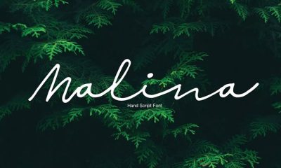 Free-Malina-Script-Font-Demo-2018