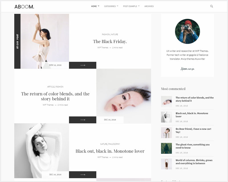 Aboom-Personal-Blog-WordPress-Theme