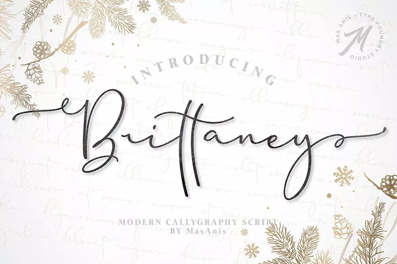 Free-Modern-Calligraphy-Brittaney-Script-Demo-1