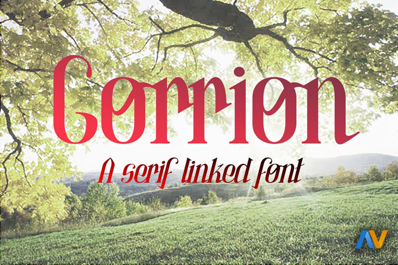 Gorrion-A-Serif-Linked-Font