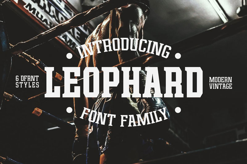 Leophard-Modern-Vintage-Font