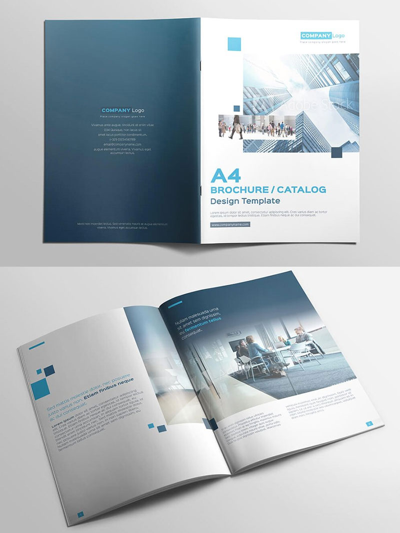 Multipurpose-Brochure-Catalog