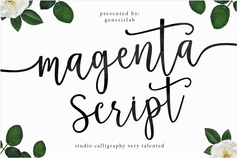 magenta-script