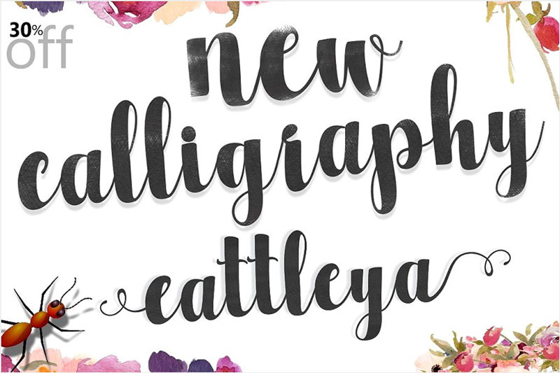 new-calligraphy-cattleya