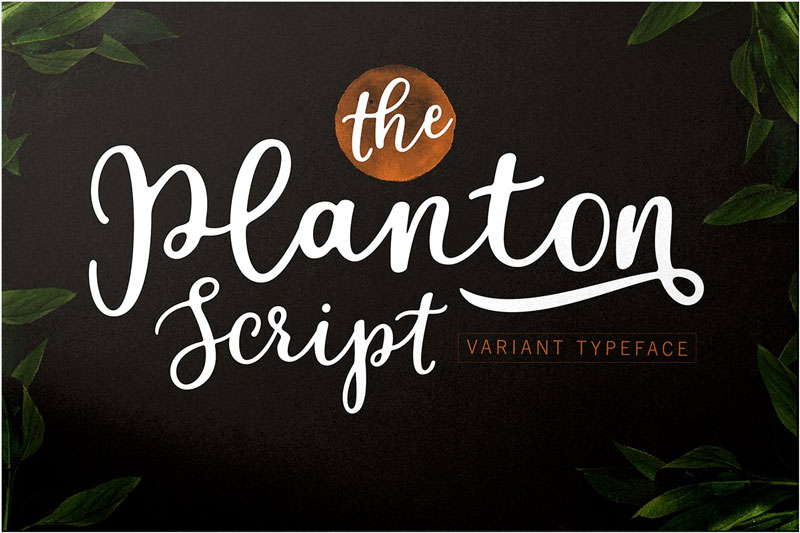 planton-script