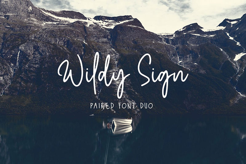 Free-Wildy-Sign-Signature-Font-1