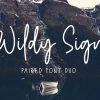 Free-Wildy-Sign-Signature-Font