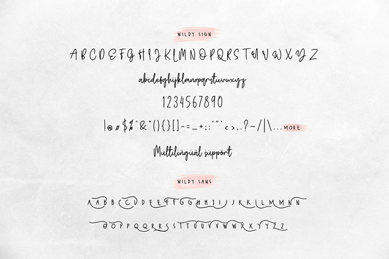 Free-Wildy-Sign-Signature-Font-4