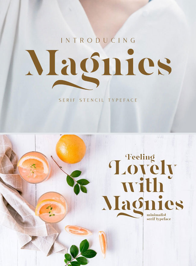 Magnies-Minimalist-Serif-Font