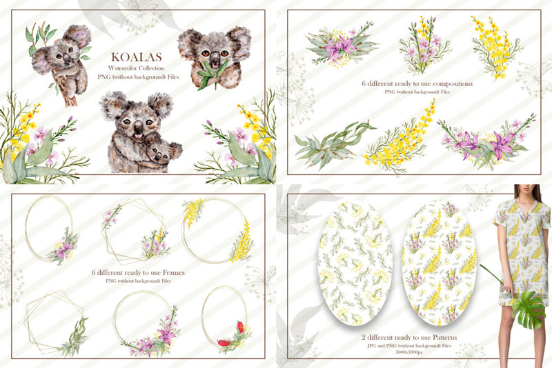 Watercolor-Koala-Collection