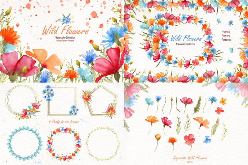 Watercolor-Wild-Flowers