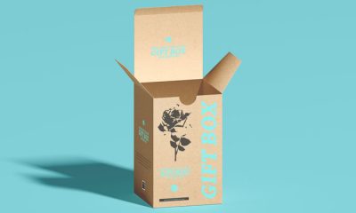 Free-Craft-Packaging-Gift-Box-Mockup-PSD-300
