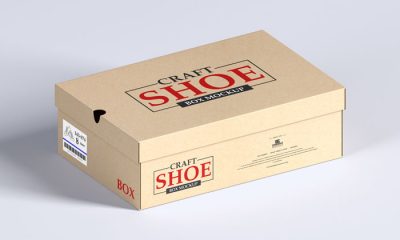 Free-Craft-Shoe-Box-Mockup-300