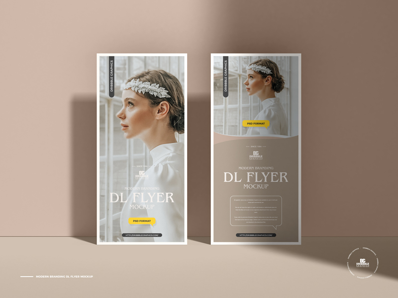 Free-Modern-Branding-Dl-Flyer-Mockup