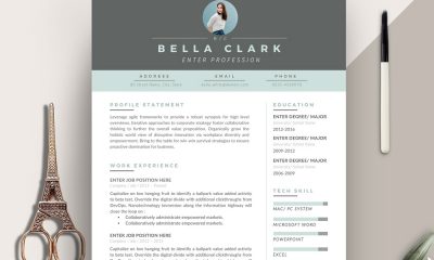 Resume-Design-Template-For-Professionals