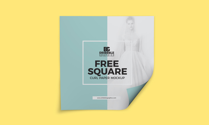 Free-Square-Curl-Paper-Mockup
