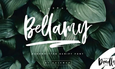Free-Hand-Drawn-Calligraphic-Bellamy-Script