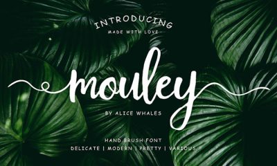 Free-Mouley-Script-Demo-2018-For-Designers
