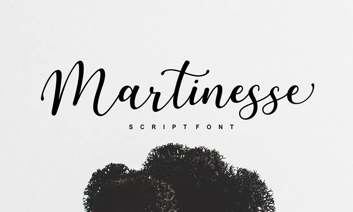 Free-Martinesse-Beautiful-Script-Demo-For-Designers