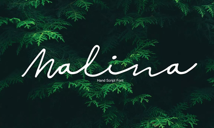 Free-Malina-Script-Font-Demo-2018