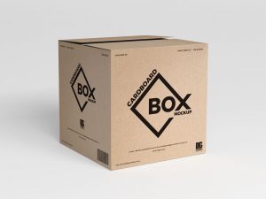 20 Best Packaging Mockup Free | Dribbble Graphics