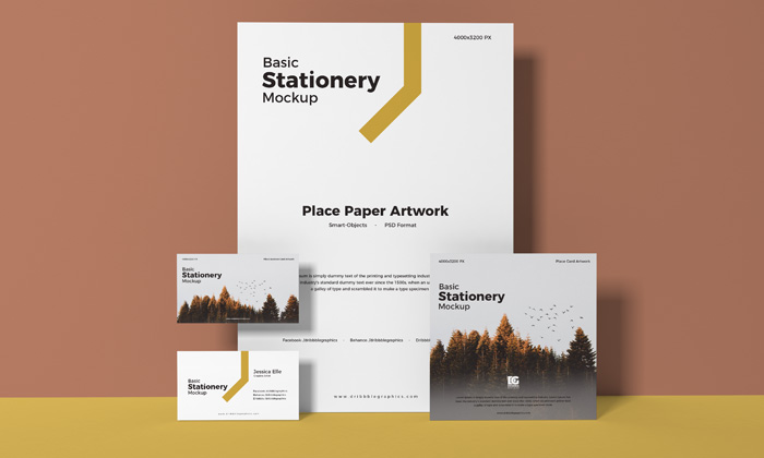Free-Basic-Stationery-Mockup-Design-300
