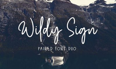Free-Wildy-Sign-Signature-Font