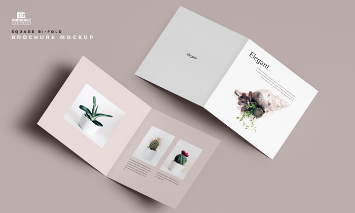 Free-Square-Bi-Fold-Brochure-Mockup-300