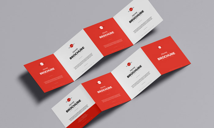 Free-PSD-Four-Fold-Brochure-Mockup-300