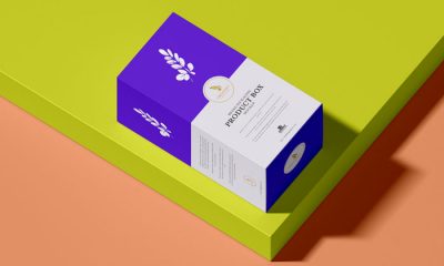 Free-Brand-Packaging-Product-Box-Mockup-300