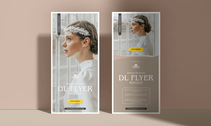 Free-Modern-Branding-Dl-Flyer-Mockup-300